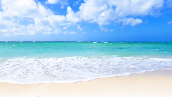 沖縄の豊かな海で育まれた塩 シママース本舗 青い海