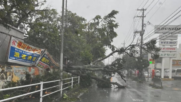 台風後の冷蔵庫・冷凍庫の中